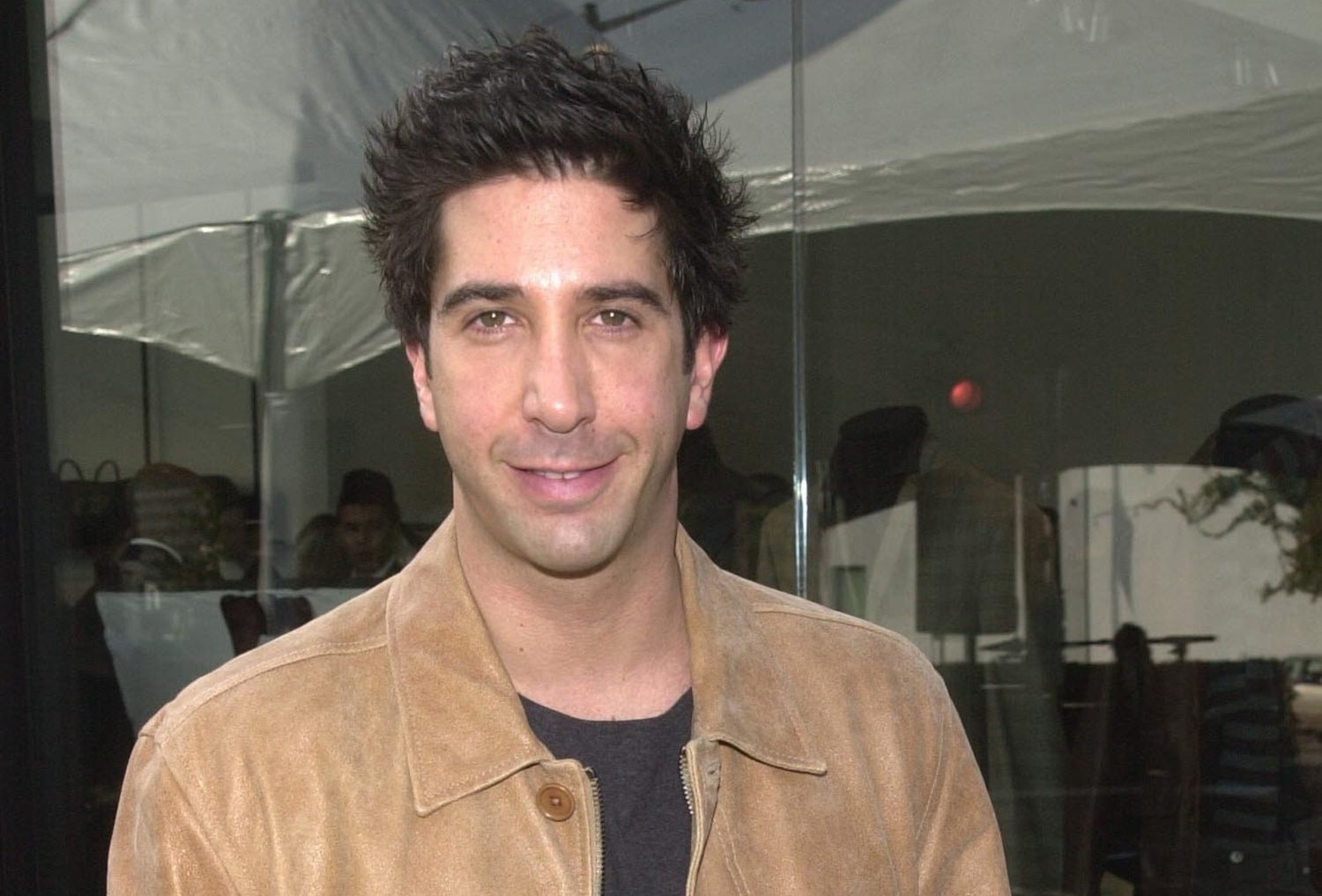 David Schwimmer, o Ross de Friends, fala sobre música tema da série