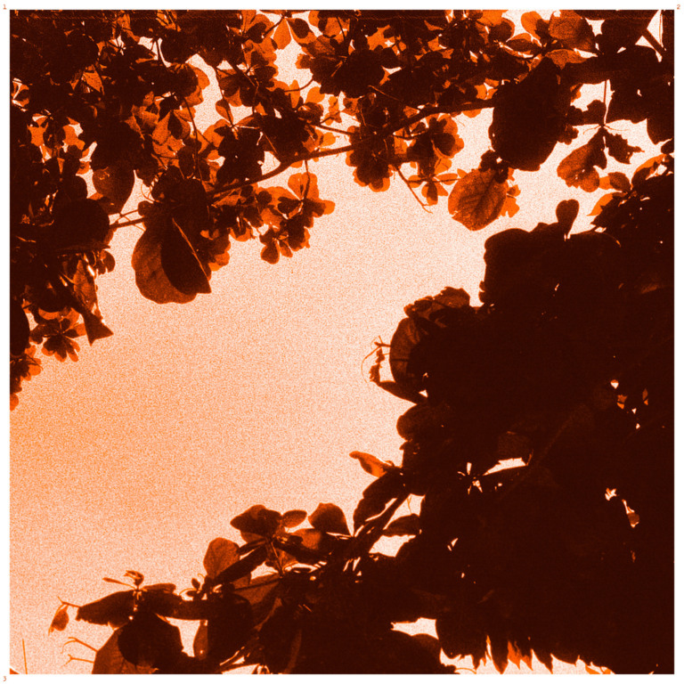 Capa do álbum “As Cinco Margens”, da banda donaclara.