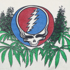 Dead & Company, versão atual do Grateful Dead, vai vender maconha legalizada em shows