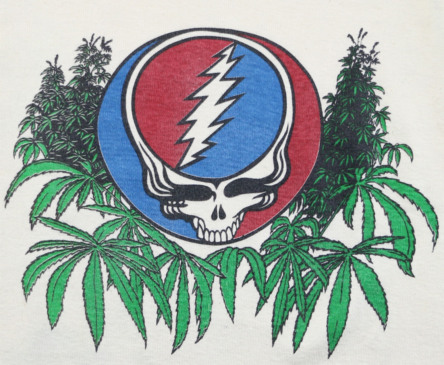 Dead & Company, versão atual do Grateful Dead, vai vender maconha legalizada em shows