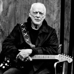 David Gilmour