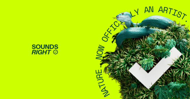 Sounds Right: conheça a iniciativa que divide royalties de músicas com a natureza