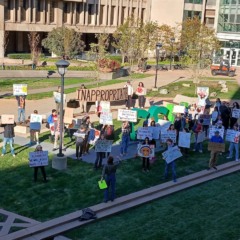 Universidade dos EUA, Rádio, Rock, Jazz