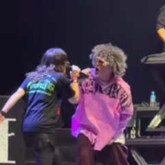 Bia do Brasil: fã de Limp Bizkit conta como foi cantar com a banda no Allianz Parque