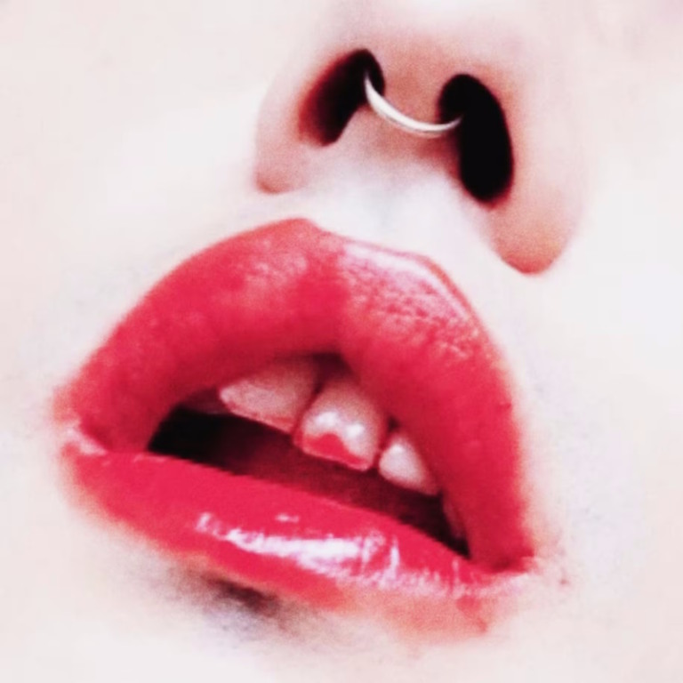 Catto - Caminhos Selvagens