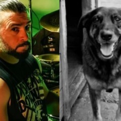 John Dolmayan opina sobre caso de cachorro morto em Florianópolis