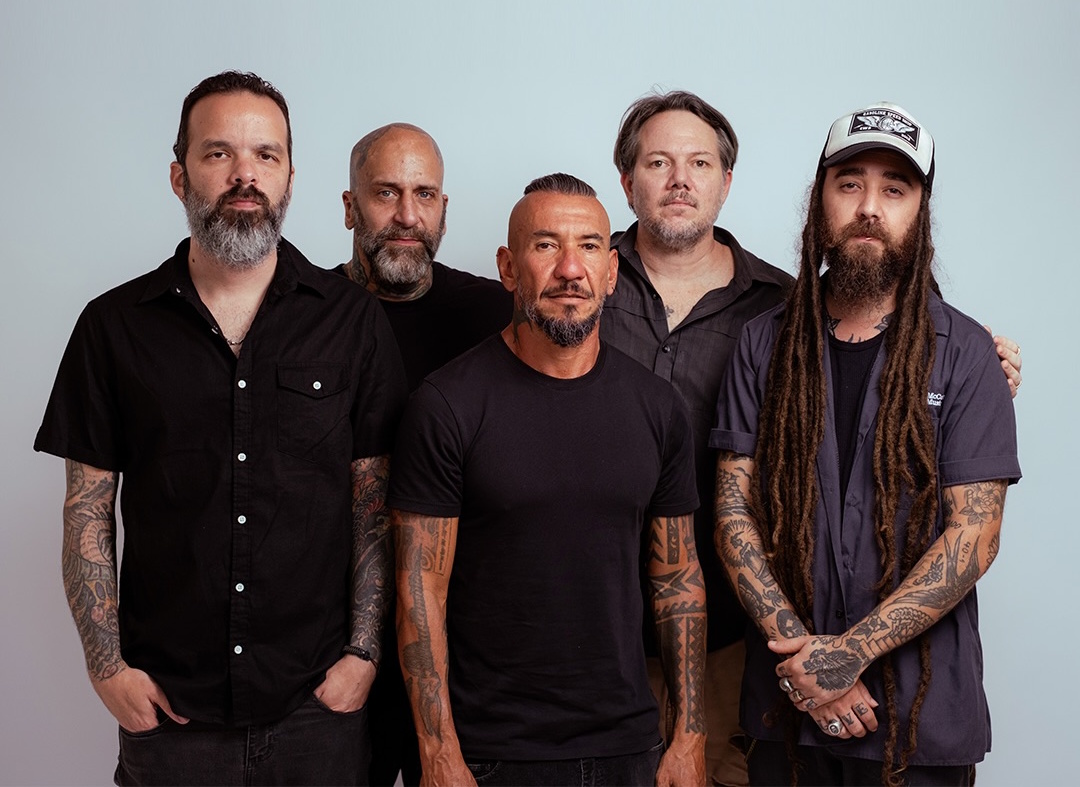 Rodox e sua formação em 2026