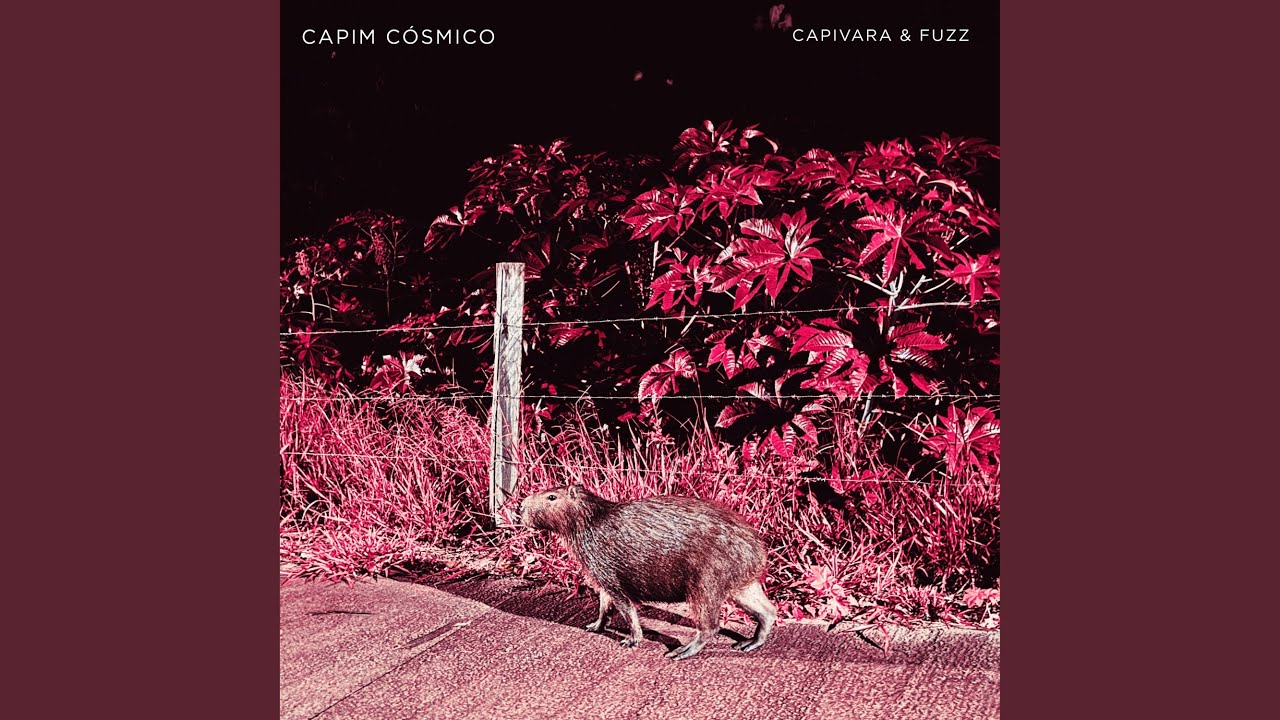 Capim Cósmico explora vícios e pensamentos intrusivos em novo single “Capivara & Fuzz”