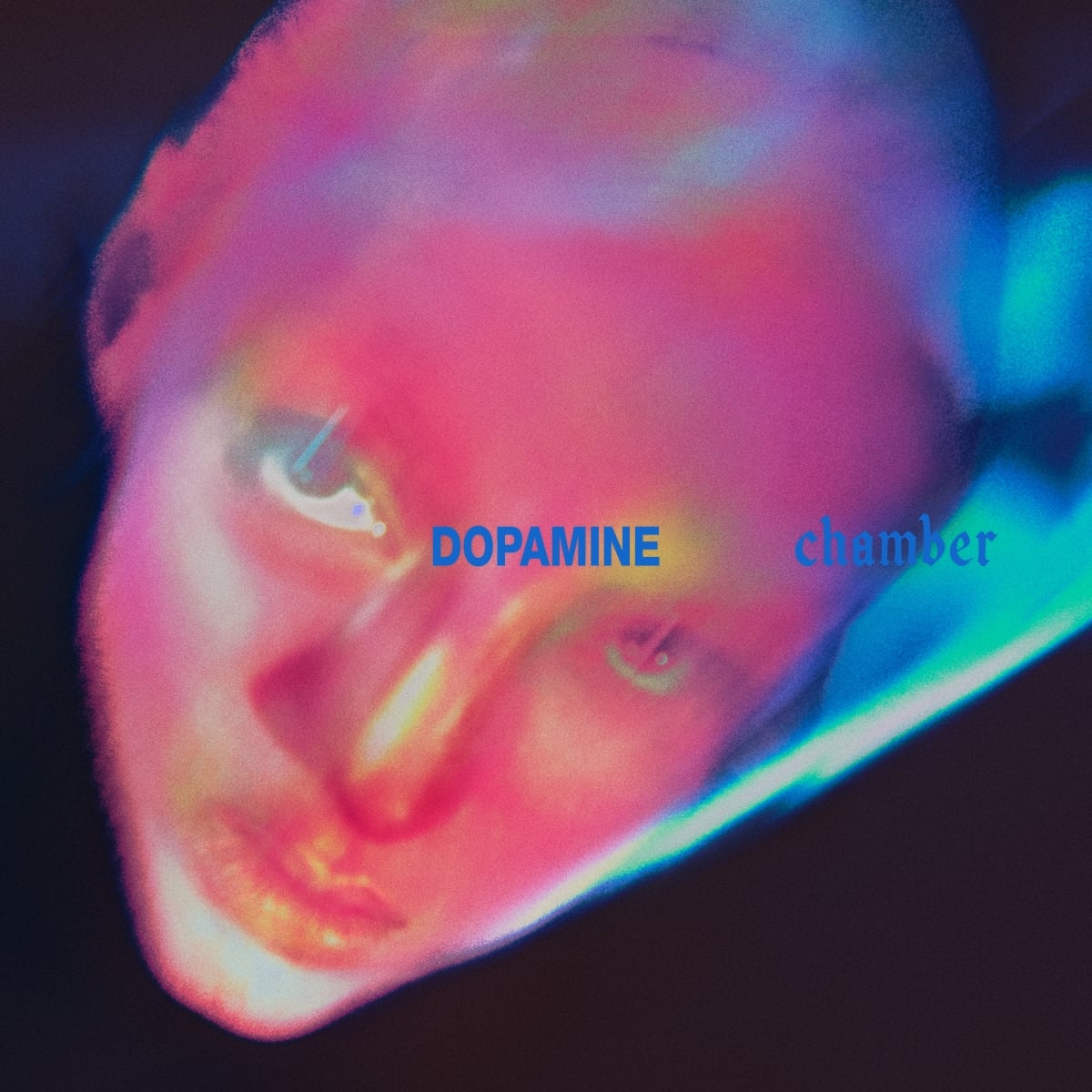 Fontaines D.C. - 